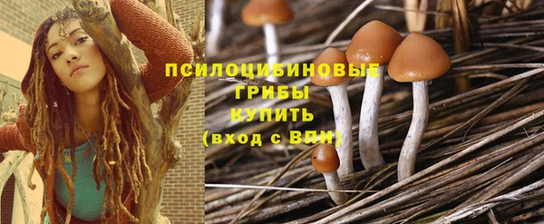 винт Абаза