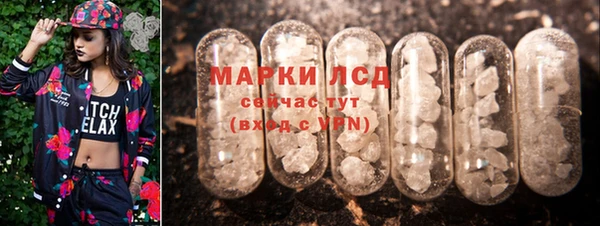 винт Абаза