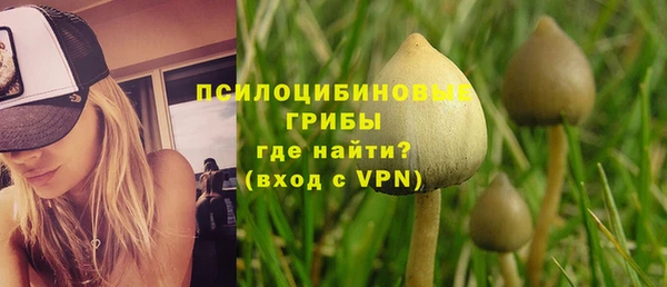 винт Абаза