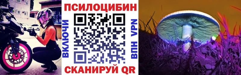 blacksprut вход  Мегион  Галлюциногенные грибы прущие грибы 