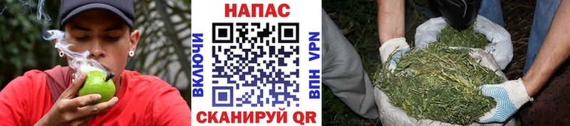 Бошки Шишки сатива  даркнет сайт  Мегион 
